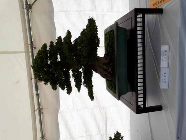 03 20171027_100622.jpg